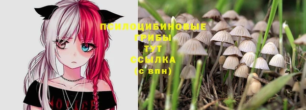 первитин Лагань