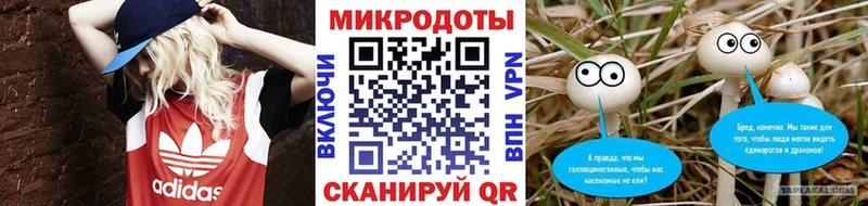 Купить закладки  Сибай  Галлюциногенные грибы Psilocybe 